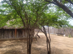 Hostal CQ Camarones