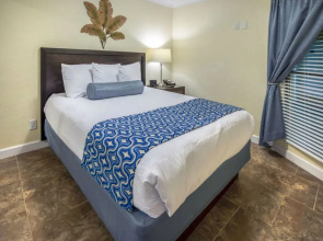 Tampa Waterfront 24281