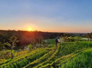 Hara Bali Eco Homestay