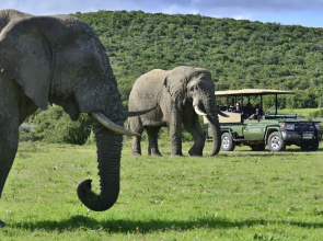 Shamwari Sarili Lodge