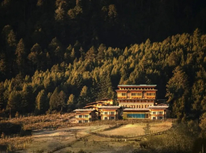 Taj Gangtey Resort And Spa