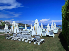 Cactus Mirage Family Club