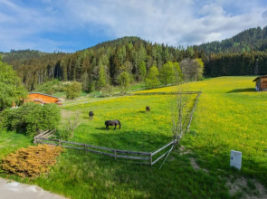 Huberhof 2 by Alpenidyll Apartments