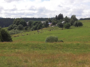 Hofgut Duerrenbuehl