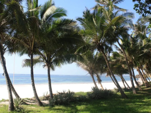 Diani Marine Divers Village