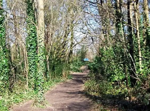 118 Shepherds Lane