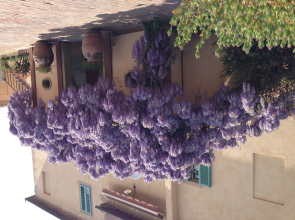 Palazzo di Valli