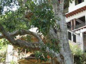 Casa Comala
