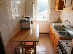 Dream Holiday Busteni