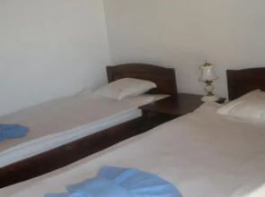 Hotel Los Dos Gallos - Dvata Petela