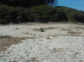 Sardinia Flower Villas