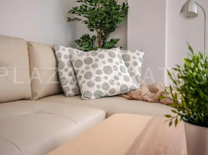 Apartamentos Pintada 11