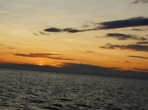 Funtana Appartements an der 1 Reihe vom Meer