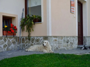 Eco Tourist Farm Ravnjak