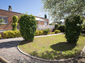 House Palmeras Wurzen