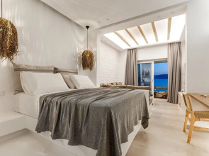 cactus suites