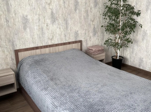 Апартаменты на улице Забалуева 96