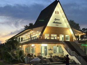 Brown Andaman  Krabi