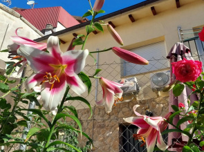 Apartamentos La Chaparrina del Jerte