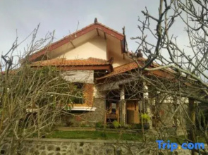 Shanty's House