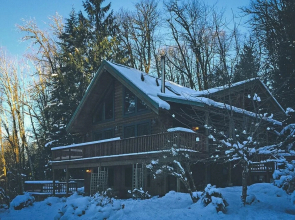 Forest View Lodge
