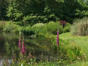 Polgwedhen Lodge
