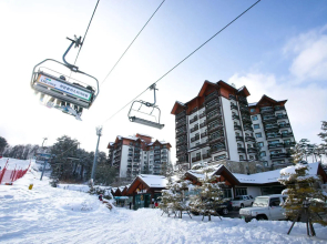 Mona Yongpyong Tower Condominium