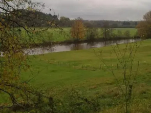 La Fleur et Le Soleil (F&S)