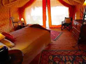 Reggie's Camel Camps
