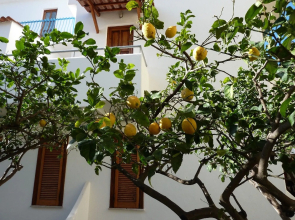 Hotel Cesotta