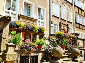 777 Apartments & Cars _ Main City