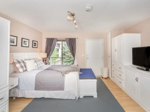 Boomerang Village 206 1 Bedroom Condo By Accommodations in Telluride