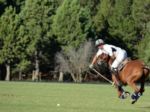 Golf y Polo Apartment