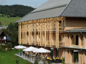 Breggers Schwanen