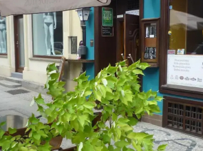 Academus Pub & Apartments