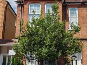 SnoozeDen Wellesley – Near to Slough Station