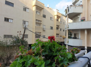 Comfortable apartment