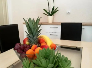 Authentic Dalmatian House