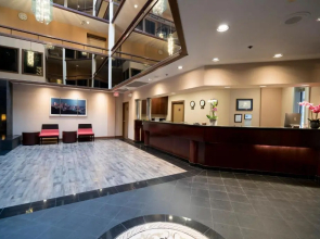 Hotel International