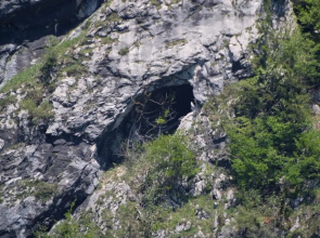 Alps Hoamat