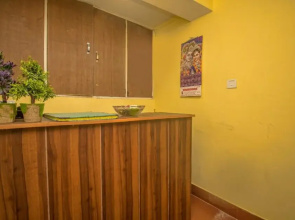 OYO 29916 Himalayan Residency