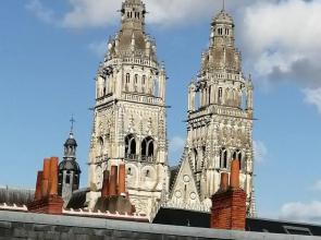 Hôtel du Cygne (Tours)