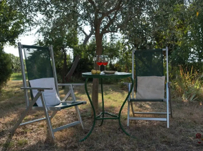 Casale13