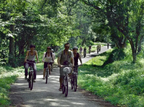 Tam Coc Lavender Homestay