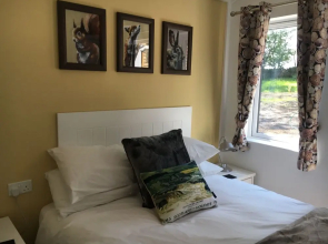 Squirrel Lodge 41 with Hot Tub, Newton Stewart