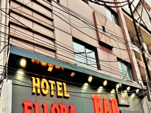 Goroomgo Ellora Raipur