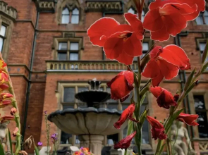Wroxall Abbey Hotel