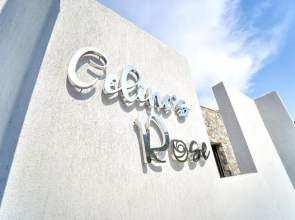 Celine’s Rose
