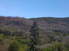 Il Villino