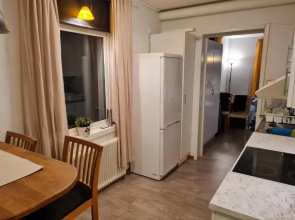 Mysig lägenhet med ett rum och kök 1103
